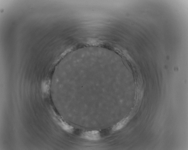 X0000080670576200612301403