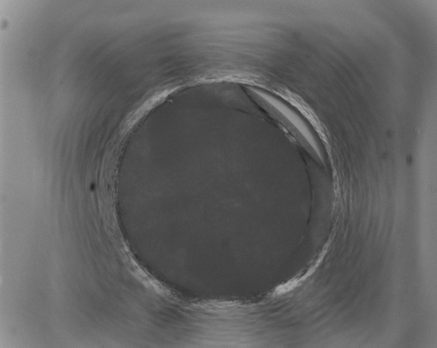 X0000080670577200612301402