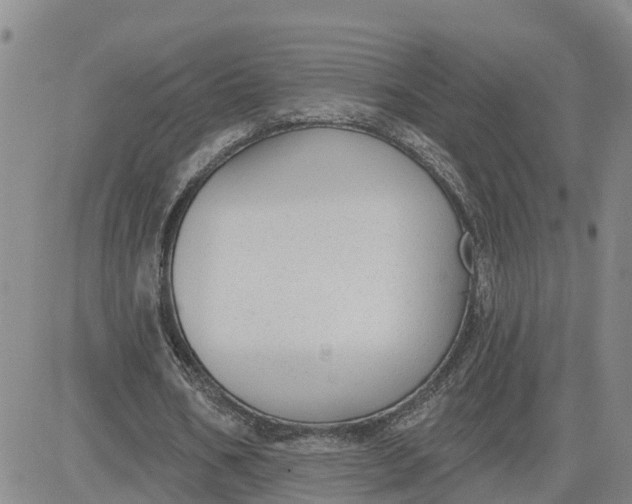 X0000080670578200612301402