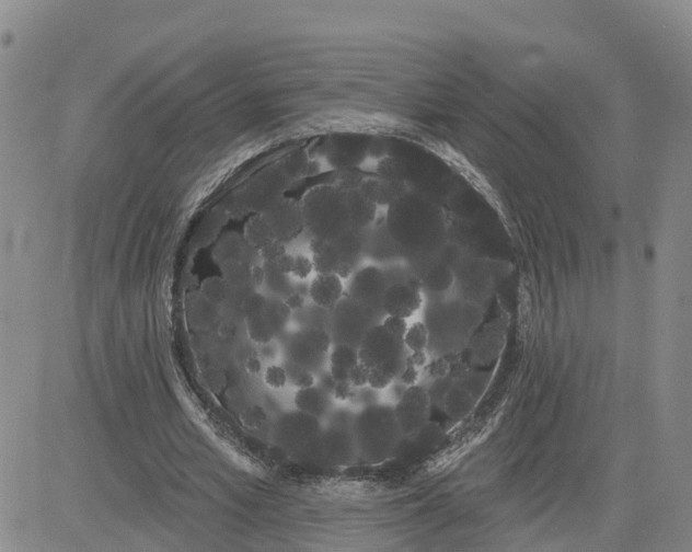 X0000080670581200612301402