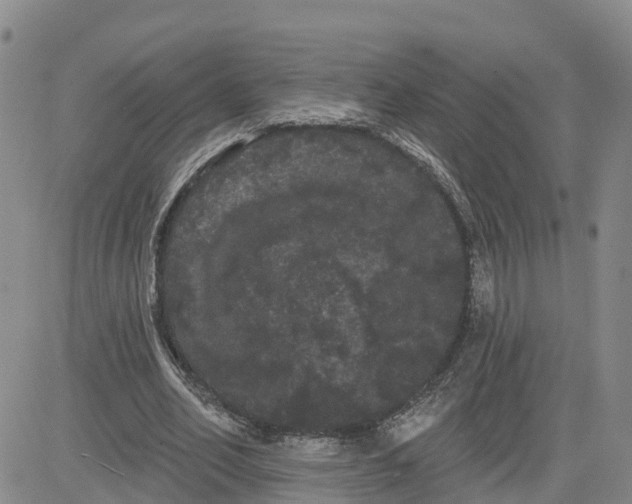 X0000080670582200612301402