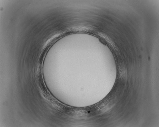 X0000080670583200612301402