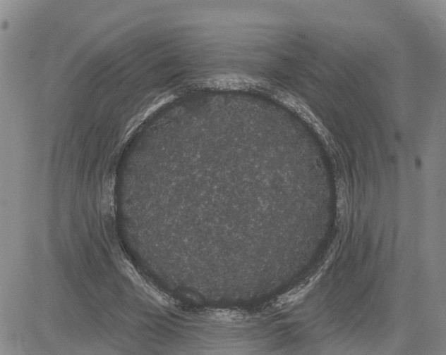 X0000080670585200612301402