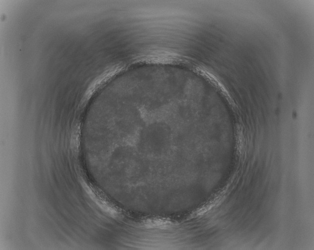 X0000080670586200612301402