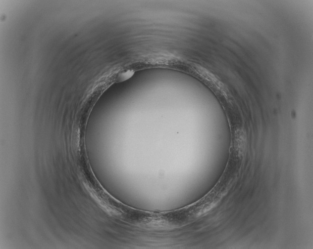 X0000080670589200612301402