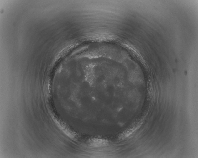 X0000080670590200612301402