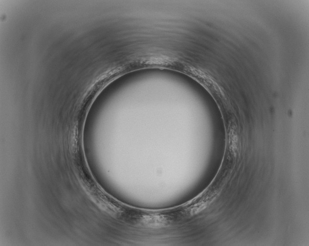 X0000080670591200612301402