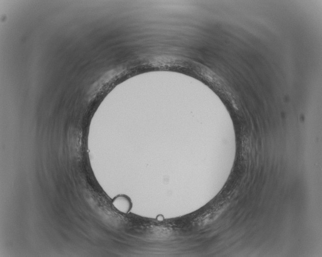 X0000080670592200612301402