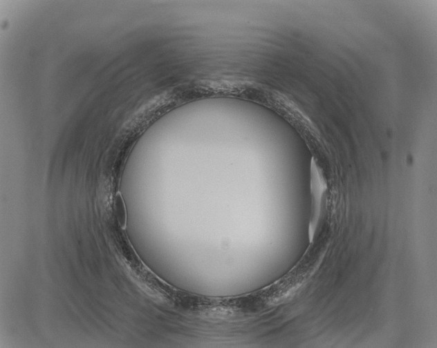 X0000080670593200612301402