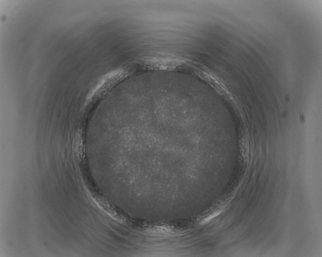 X0000080670594200612301402