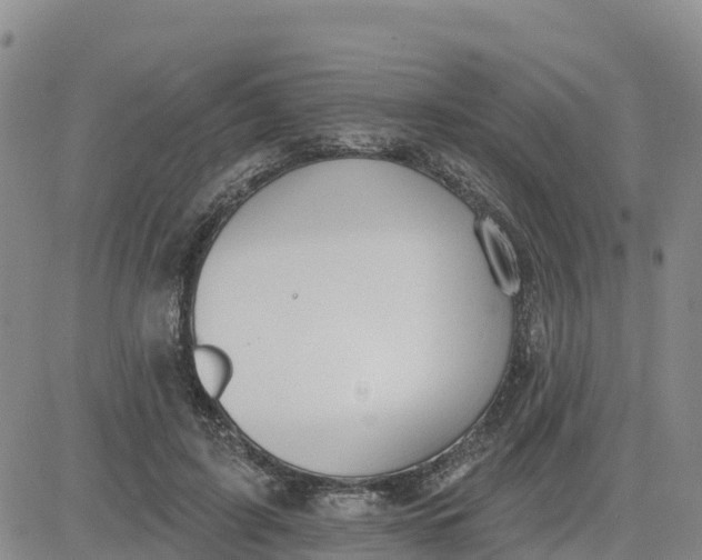 X0000080670595200612301402