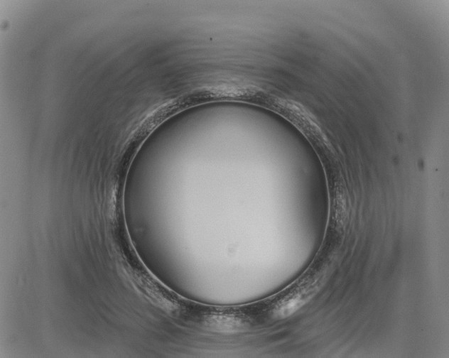 X0000080670596200612301402