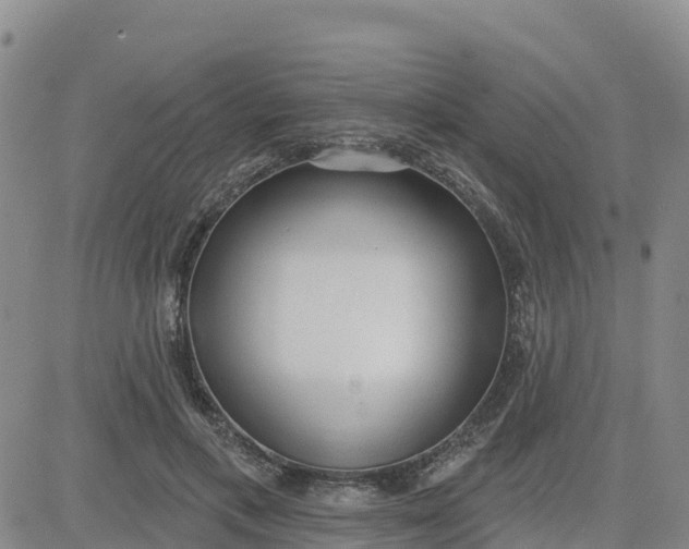 X0000080670597200612301402