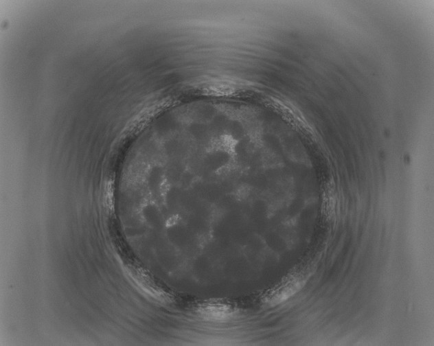 X0000080670598200612301402