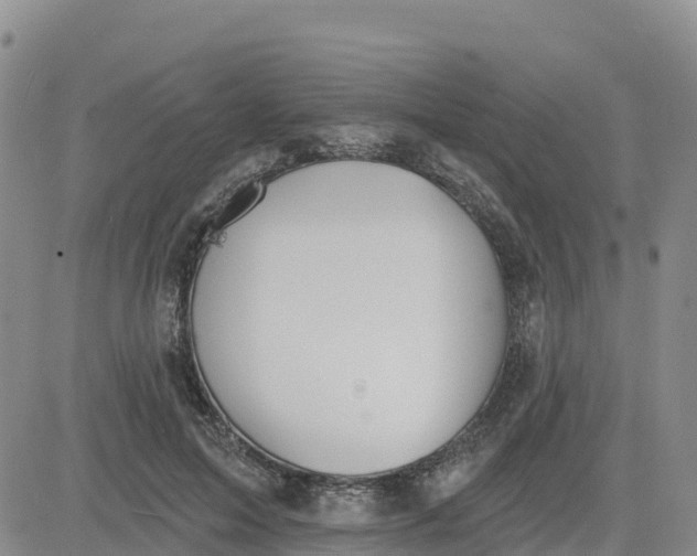 X0000080670599200612301402