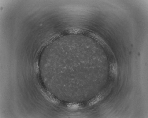 X0000080670602200612301402