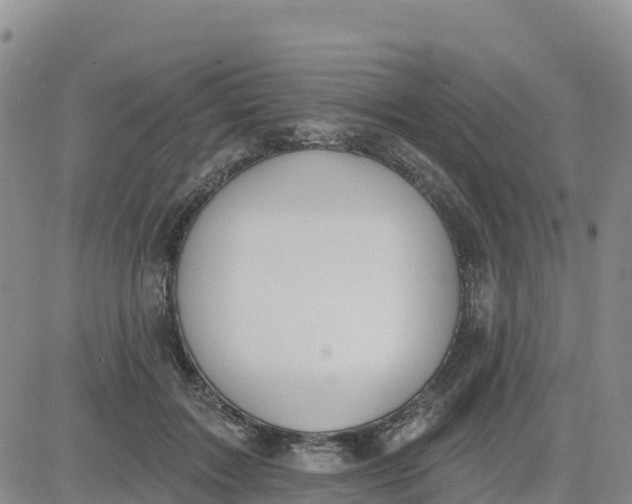 X0000080670603200612301402