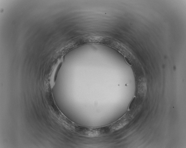 X0000080670604200612301402