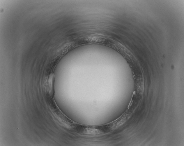 X0000080670605200612301402