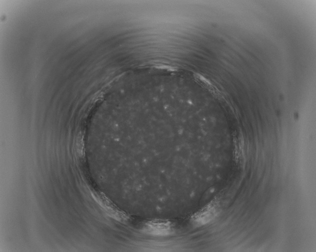 X0000080670606200612301402