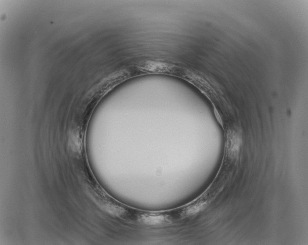 X0000080670607200612301402