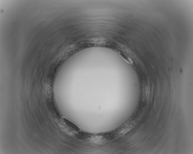 X0000080670609200612301402