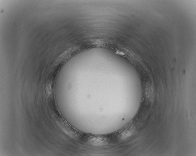 X0000080670611200612301402