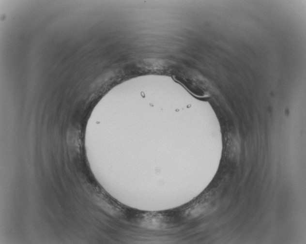 X0000080670612200612301402