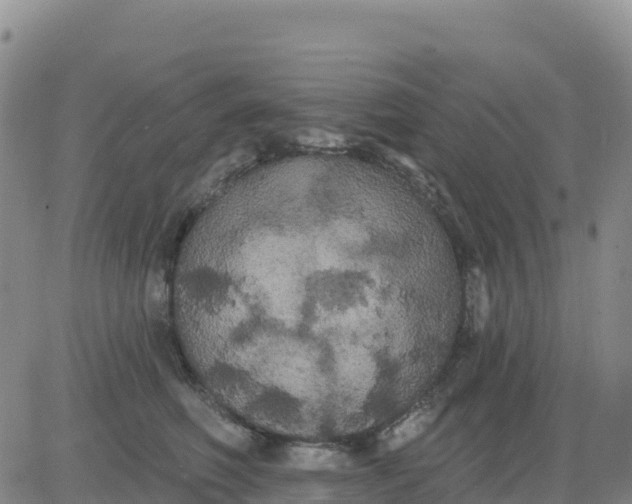 X0000080670614200612301402