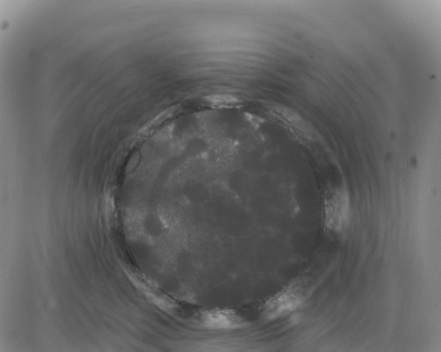 X0000080670618200612301401