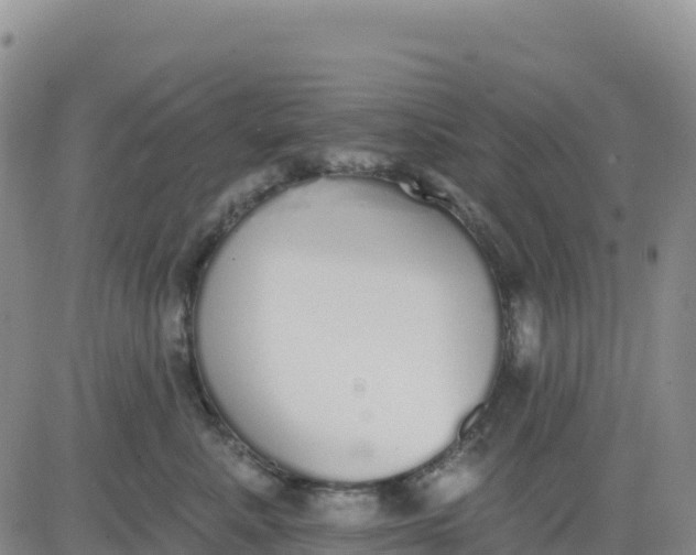 X0000080670619200612301401