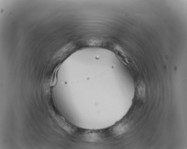 X0000080670620200612301401