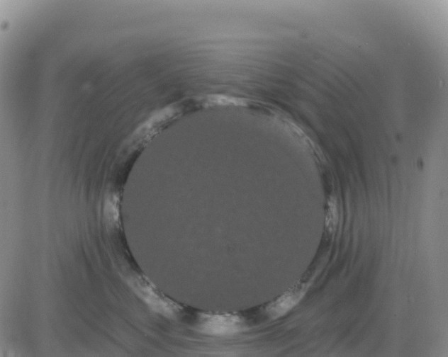 X0000080670621200612301401