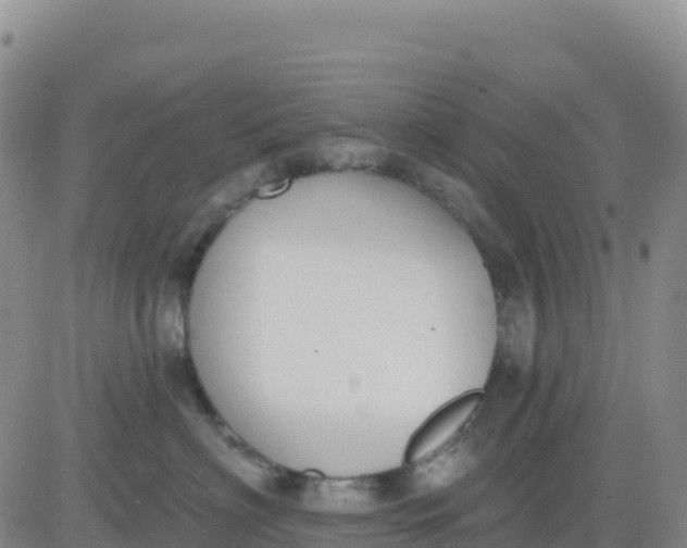 X0000080670622200612301401