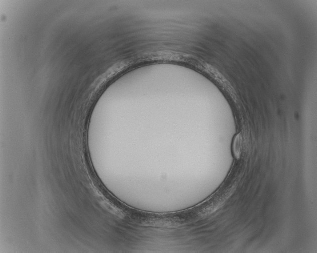 X0000080670625200612301401