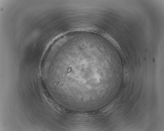 X0000080670628200612301401