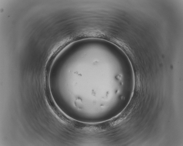 X0000080670630200612301401