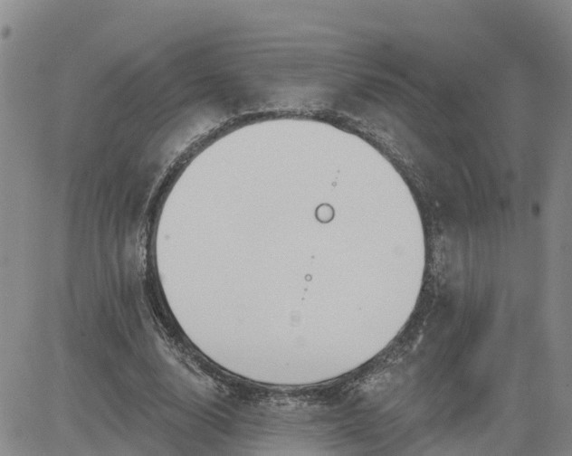 X0000080670632200612301401