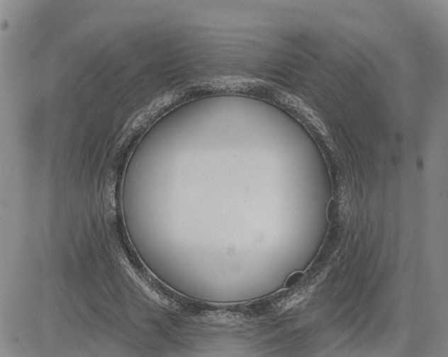 X0000080670633200612301401