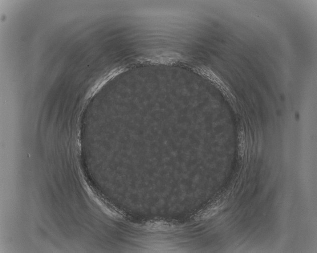 X0000080670634200612301401