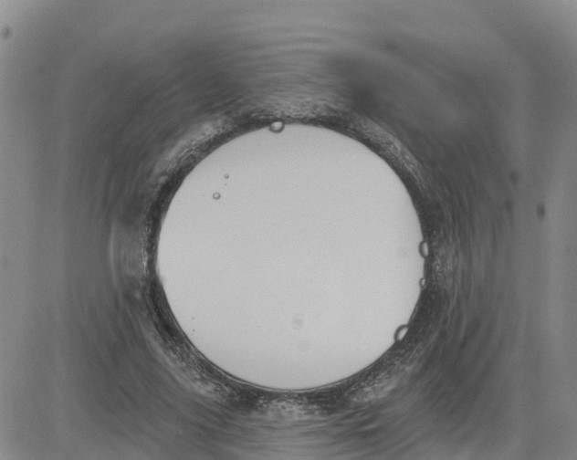 X0000080670635200612301401