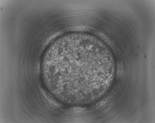 X0000080670636200612301401