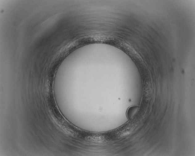 X0000080670639200612301401