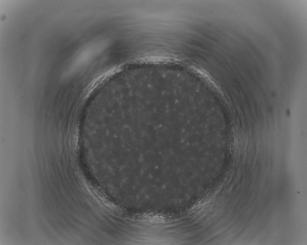 X0000080670640200612301401