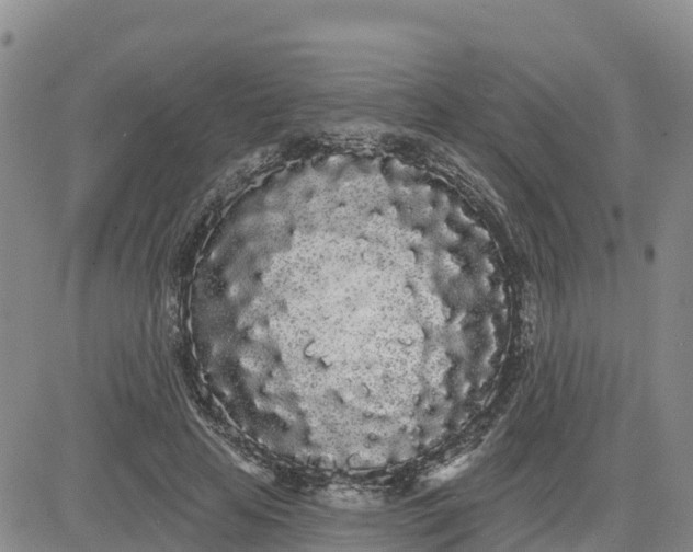 X0000080670641200612301401