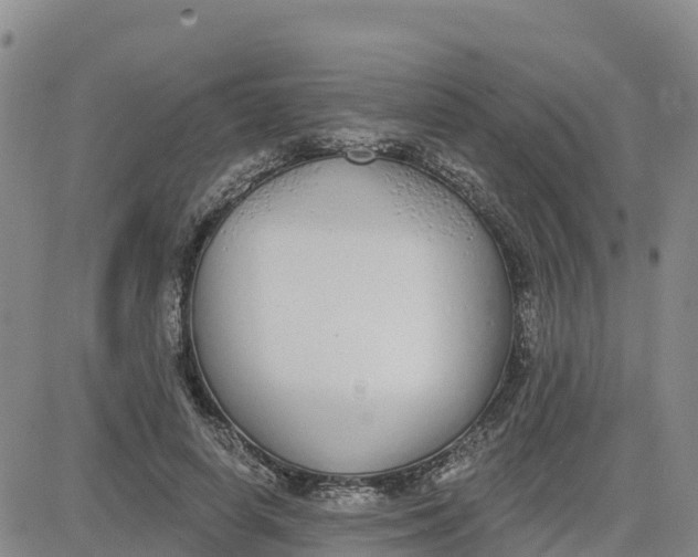 X0000080670642200612301401