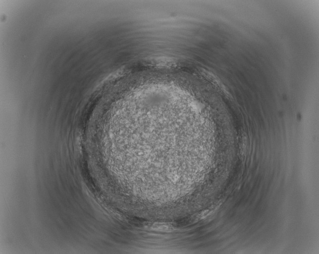 X0000080670643200612301401