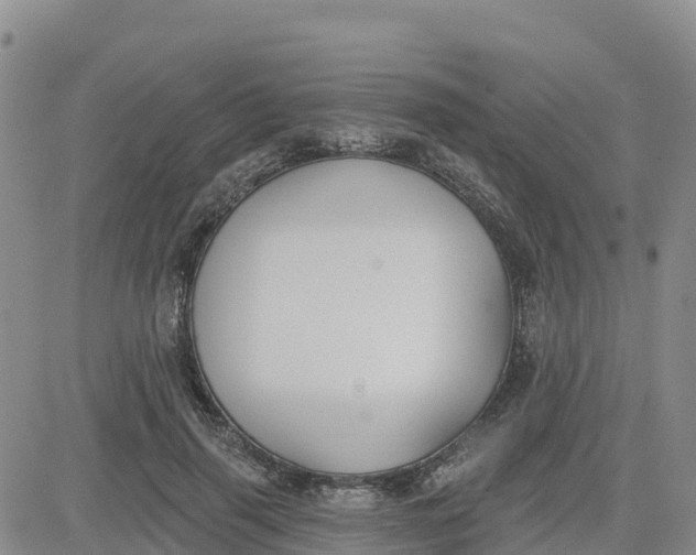 X0000080670645200612301401