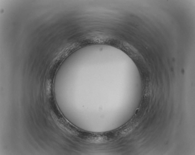 X0000080670646200612301401