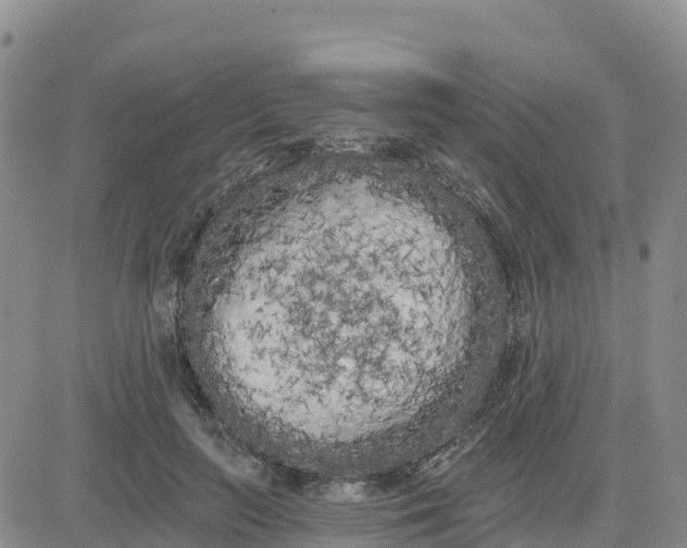 X0000080670647200612301401